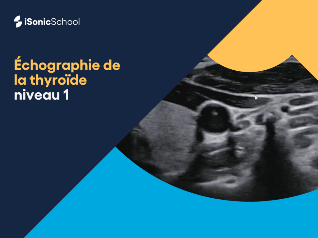 Miniature Formation échographie de la thyroide niveau 1