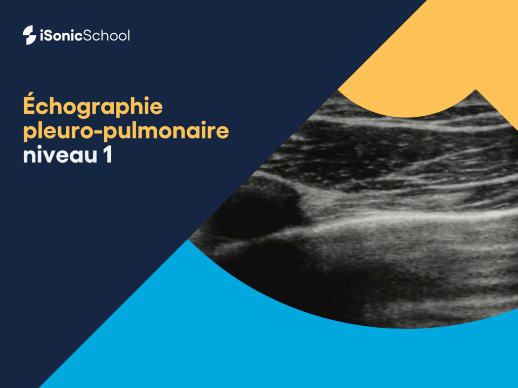 Miniature Formation échographie pleuro-pulmonaire niveau 1
