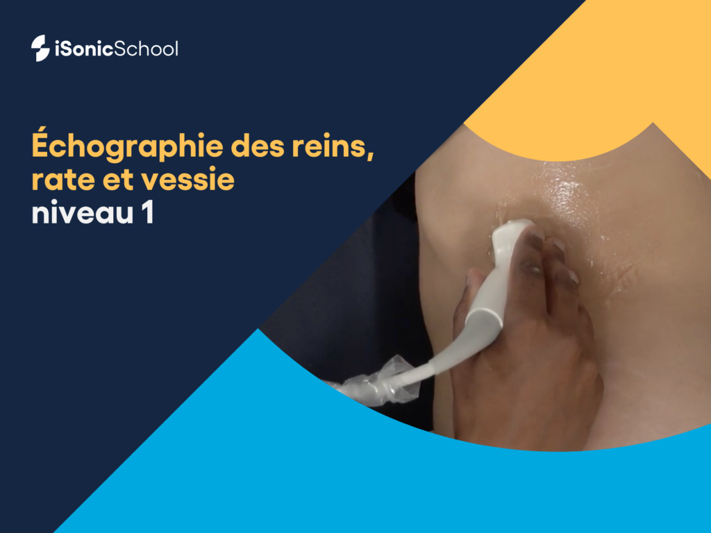 Miniature Formation échographie reins rate vessie niveau 1