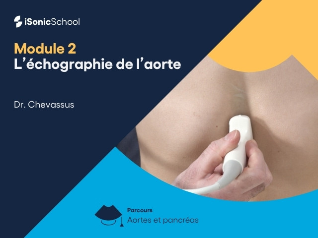 Miniature — Aorte et pancréas — L’échographie de l’aorte