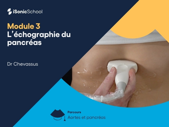 Miniature — Aorte et pancréas — L’échographie du pancréas