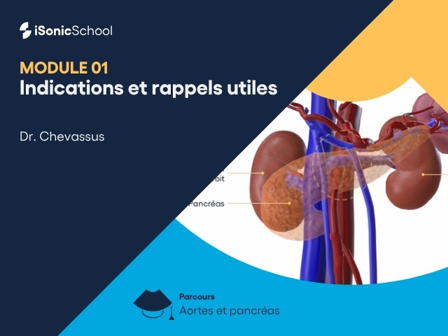 Miniature — Aorte et pancréas — Indications et rappels utiles