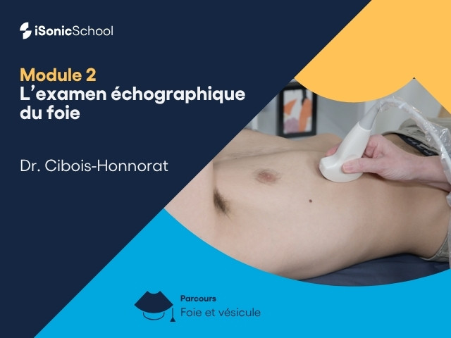 Miniature — Foie & Vésicule — L’examen échographique du foie