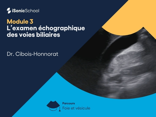 Miniature — Foie & Vésicule — L’examen échographique des voies biliaires