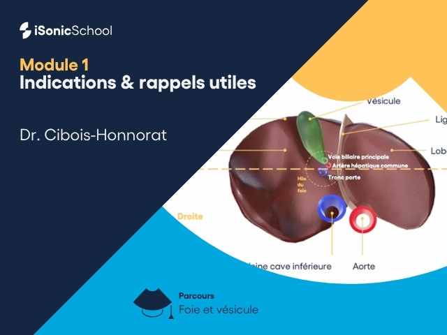 Miniature — Foie & Vésicule — Indications et rappels utiles