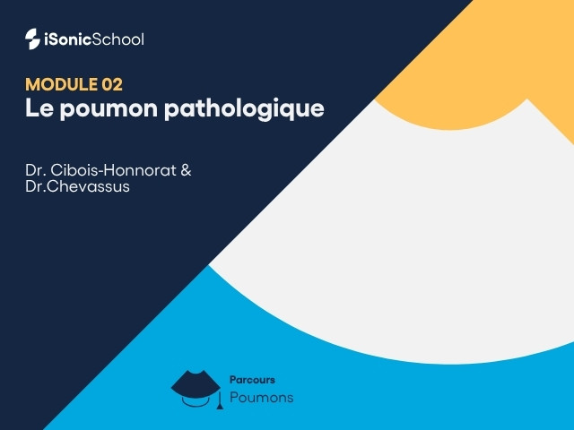 Miniature — Poumons — Le poumon pathologique