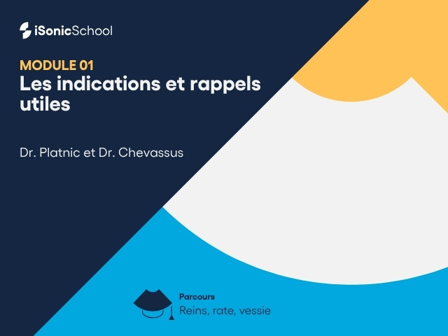 Miniature — Reins, Rate & Vessie — Indications et rappels utiles