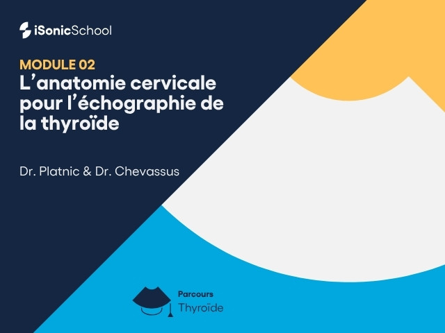 Miniature — Thyroïde — Anatomie cervicale