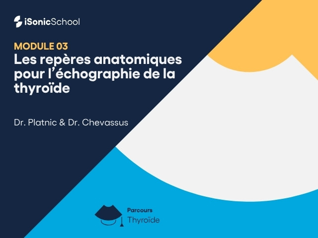 Miniature — Thyroïde — Écho-anatomie