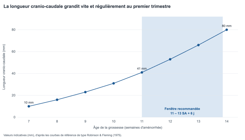 Courbe de croissance de la longueur cranio-caudale de 7 à 14 semaines d'aménorrhée, avec la fenêtre recommandée 11-13 SA + 6 jours