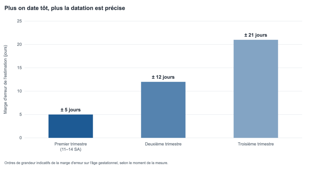 Diagramme en barres : marge d'erreur de la datation d'environ 5 jours au premier trimestre, 12 jours au deuxième, 21 jours au troisième