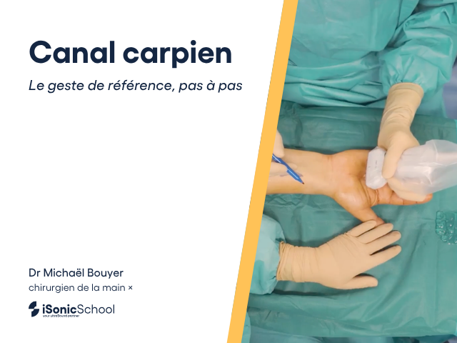 Module 3 · Canal carpien