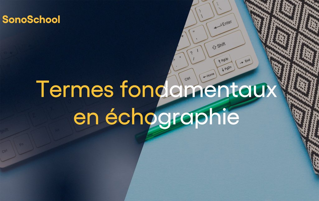 termes fondamentaux en échographie Sonoschool